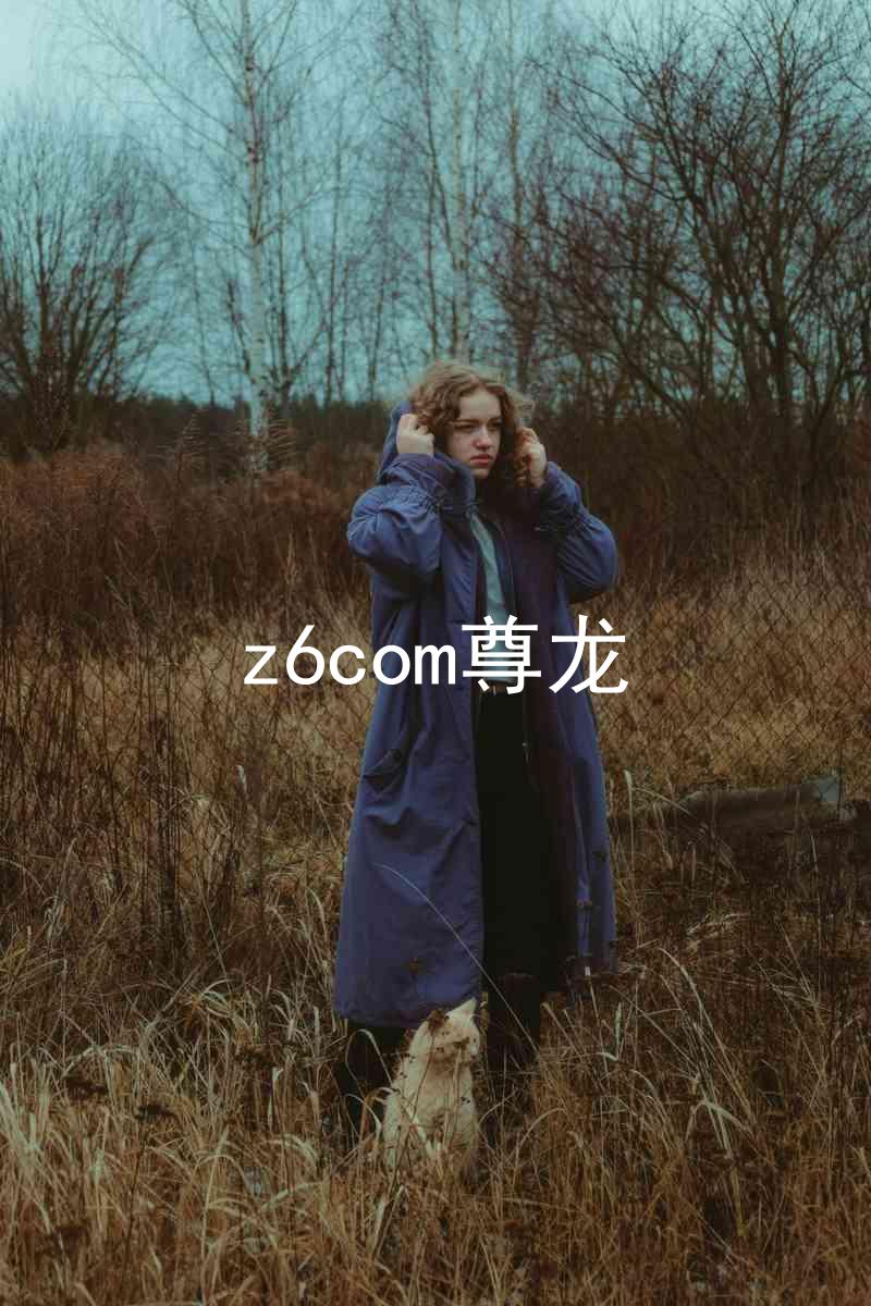 z6com尊龙