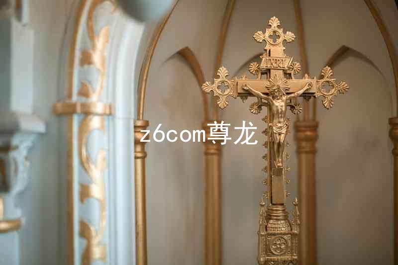z6com尊龙